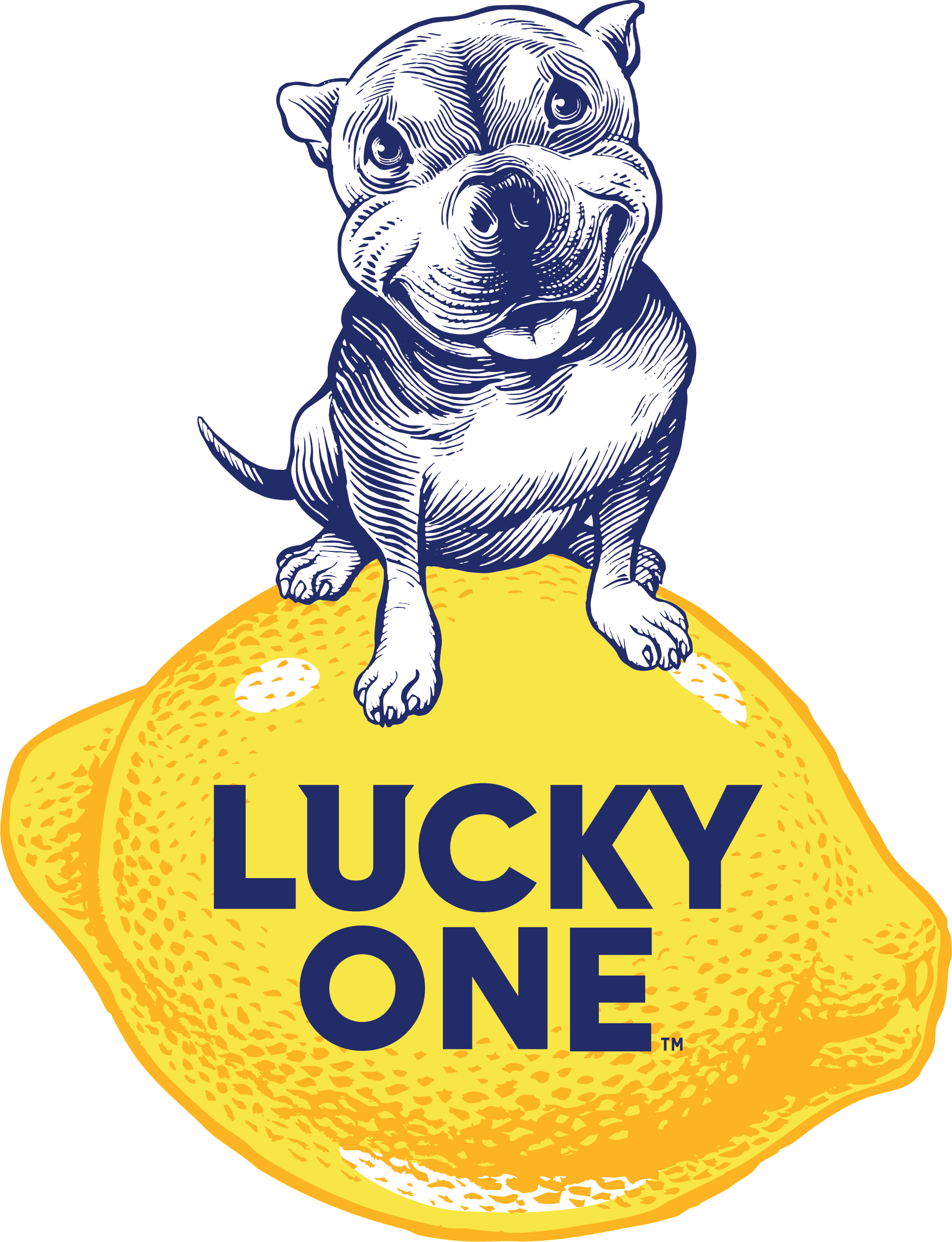 Smiling dog sitting on a large yellow lemon with the text LUCKY ONE written on it in bold blue letters.