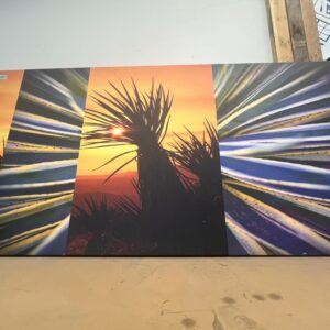 Artwork showing a vivid sunset with silhouetted plants, bordered by abstract close-ups of spiky green leaves.