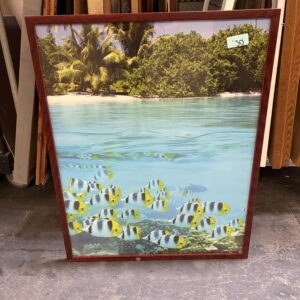 Framed picture of tropical fish in clear water with palm trees and greenery in the background, priced at $10.